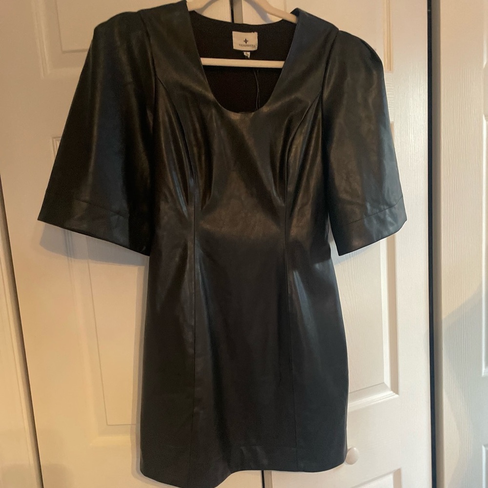 Tuckernuck Leather Dress